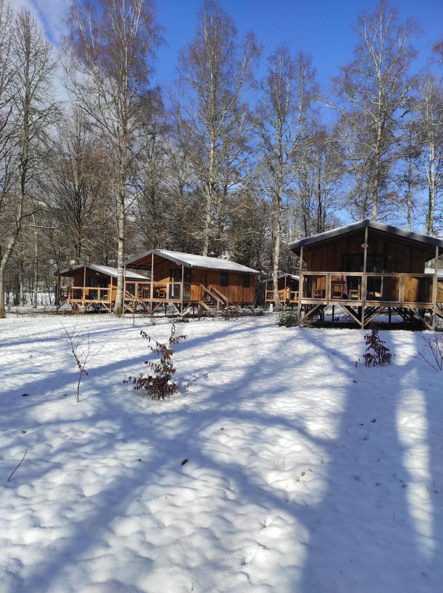 Camping La Borie Basse Condat  Εξωτερικό φωτογραφία